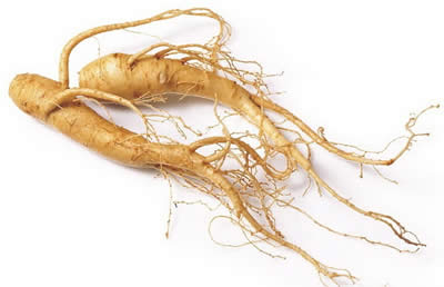 Panax ginseng is a premature ejaculation pill ingredients